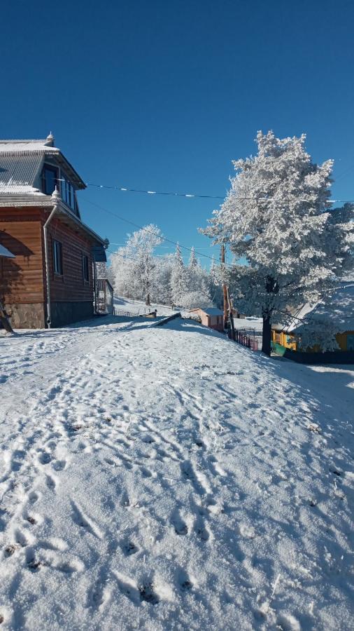 Gutsulska Oselya Villa Krivopol'ye Bagian luar foto