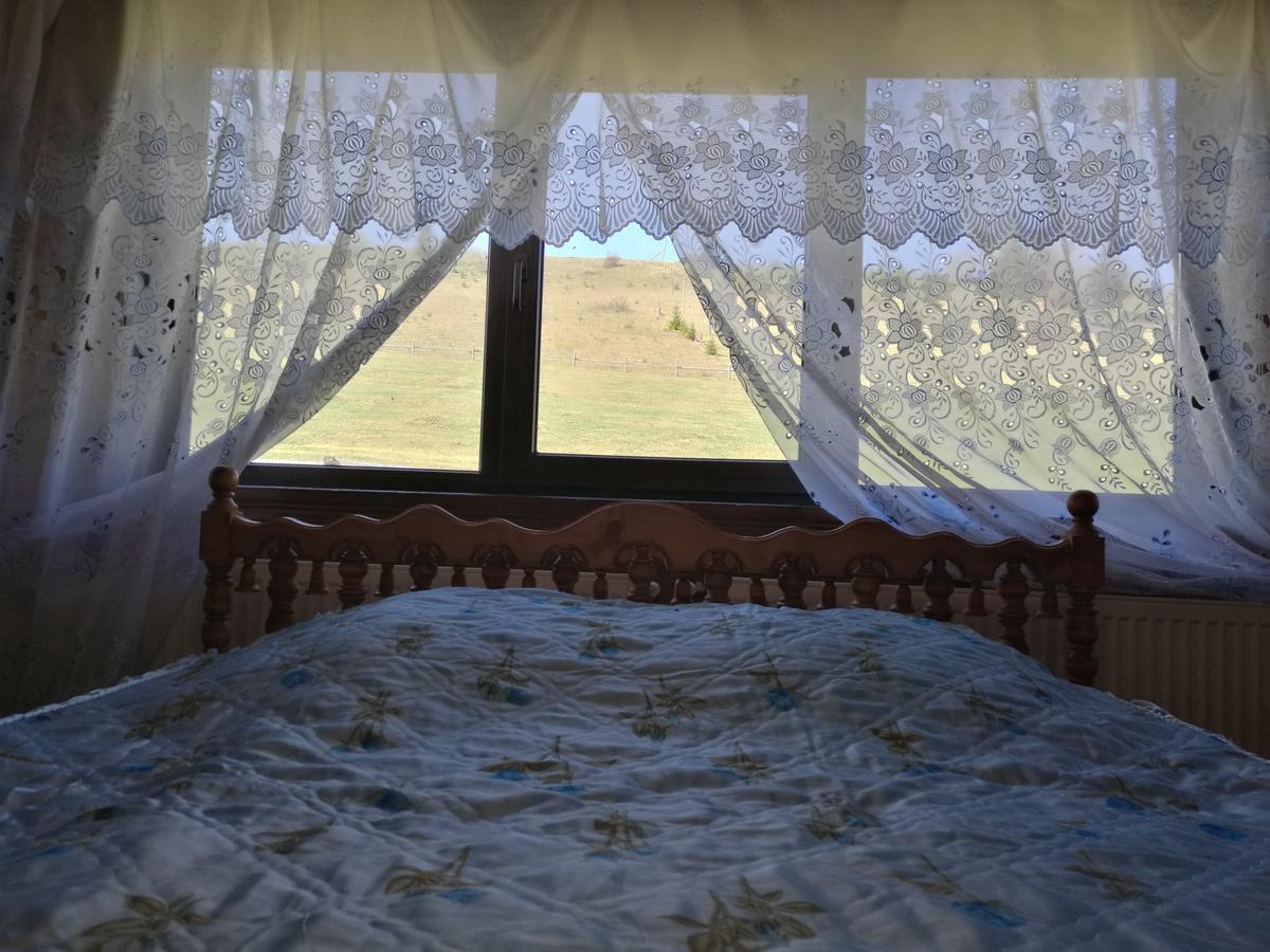 Gutsulska Oselya Villa Krivopol'ye Bagian luar foto